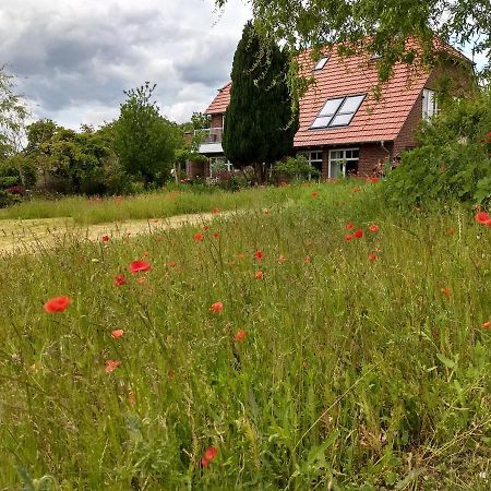 Haus Rosengarten- Ruhige Ferienwohnungen Im Gruenen Sehlen Luaran gambar
