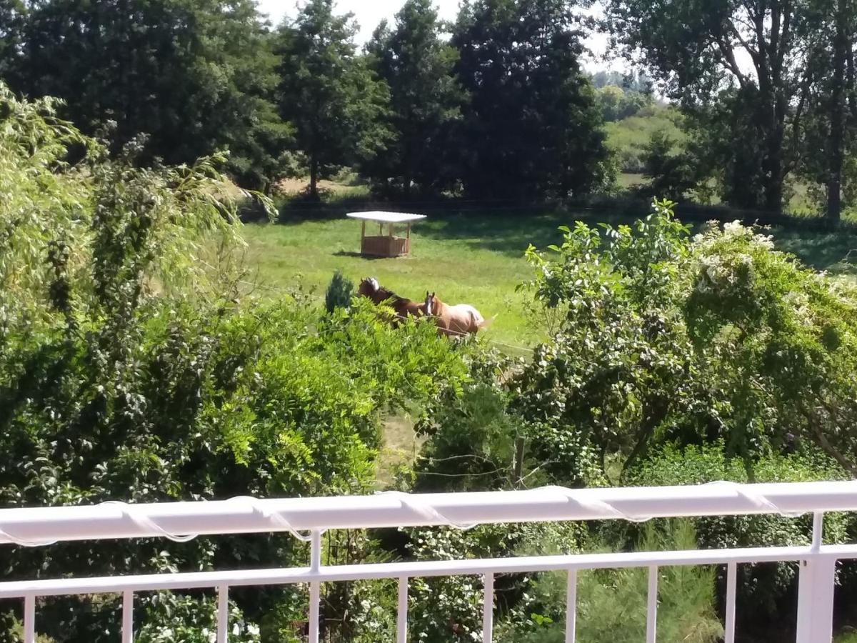 Haus Rosengarten- Ruhige Ferienwohnungen Im Gruenen Sehlen Luaran gambar