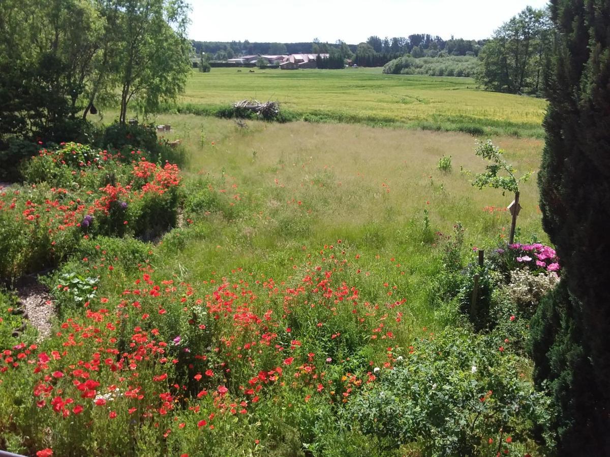 Haus Rosengarten- Ruhige Ferienwohnungen Im Gruenen Sehlen Luaran gambar
