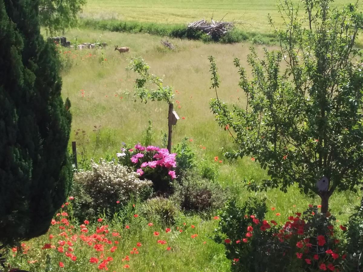 Haus Rosengarten- Ruhige Ferienwohnungen Im Gruenen Sehlen Luaran gambar