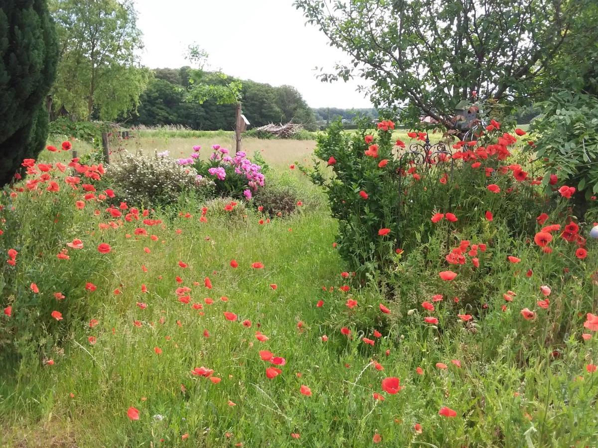 Haus Rosengarten- Ruhige Ferienwohnungen Im Gruenen Sehlen Luaran gambar