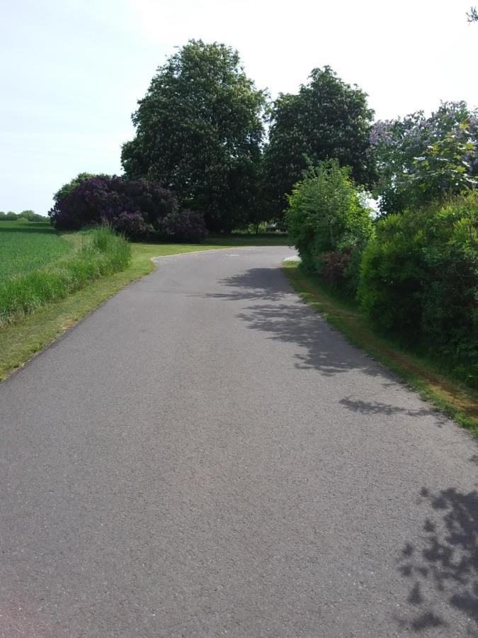 Haus Rosengarten- Ruhige Ferienwohnungen Im Gruenen Sehlen Luaran gambar